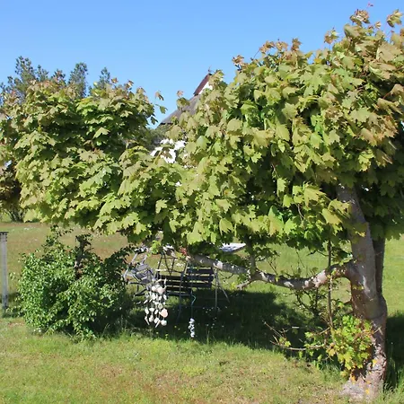 Boddenblick Apartment Neuendorf (Hiddensee)